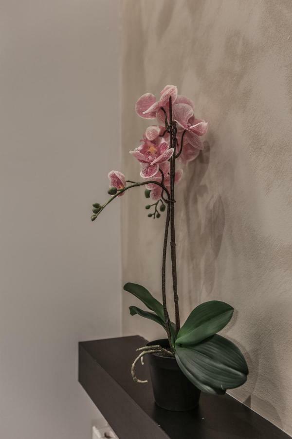 Stylish Apartment Near Duomo 밀라노 외부 사진